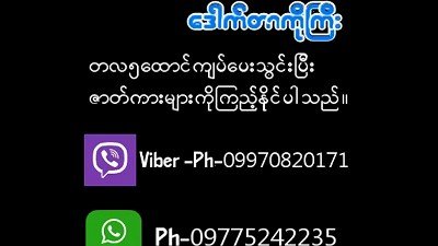 Myanmar Aunty ass fucking ravaged